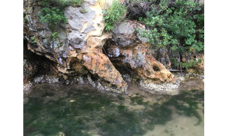 鼻ぐり岩 鼻ぐり岩