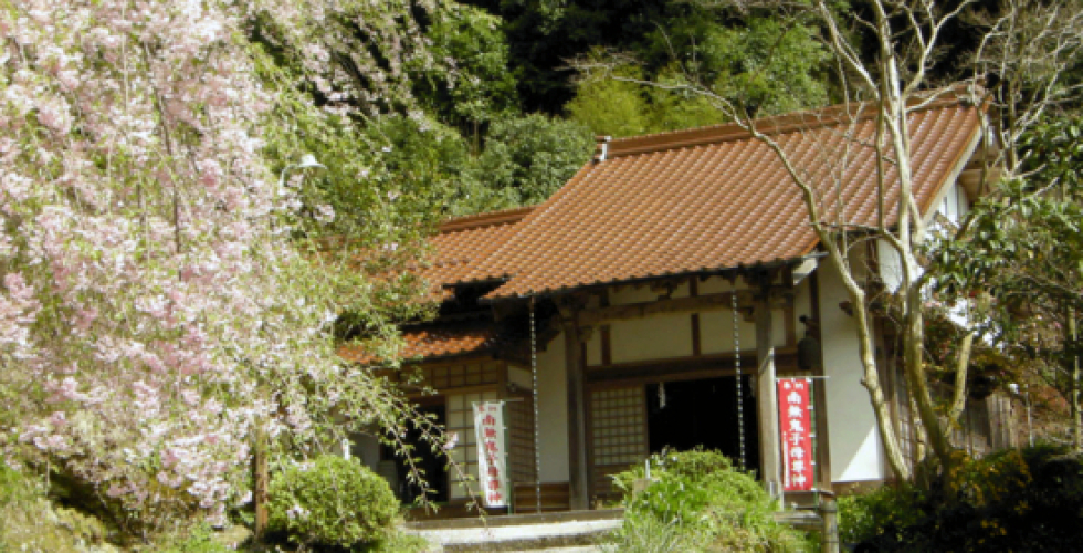 妙蓮寺 妙蓮寺