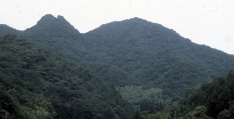 矢筈城跡 矢筈城跡