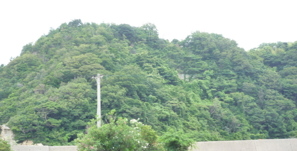 鵜丸城跡 鵜丸城跡