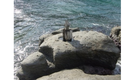 鼻ぐり岩 鼻ぐり岩