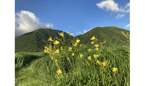 三瓶山 西の原 三瓶山 西の原
